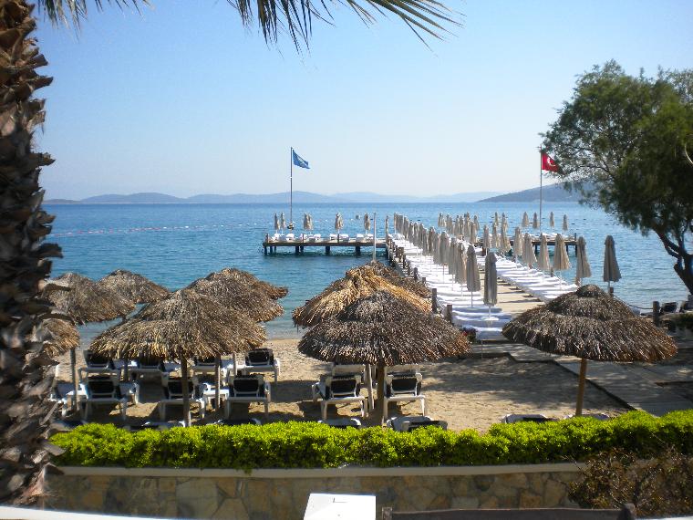 İskele