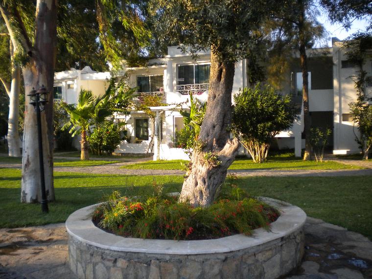 Club Odaları